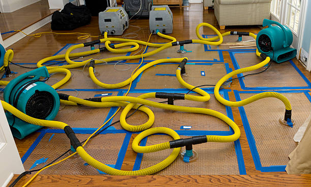Professional Sewage Cleanup technician working in Paris, TN